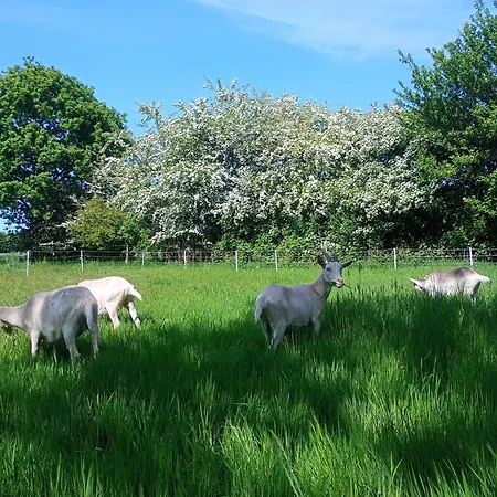 아파트 Bennebek - Zwischen Den Meeren Klein Bennebek