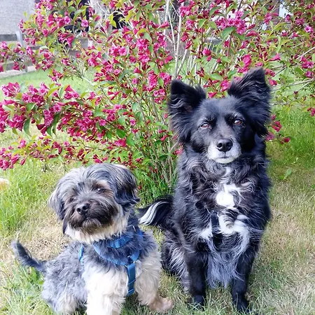 Bennebek - Zwischen Den Meeren 아파트 Klein Bennebek